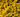 Ajonc