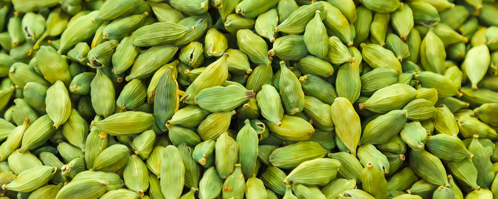 Cardamome