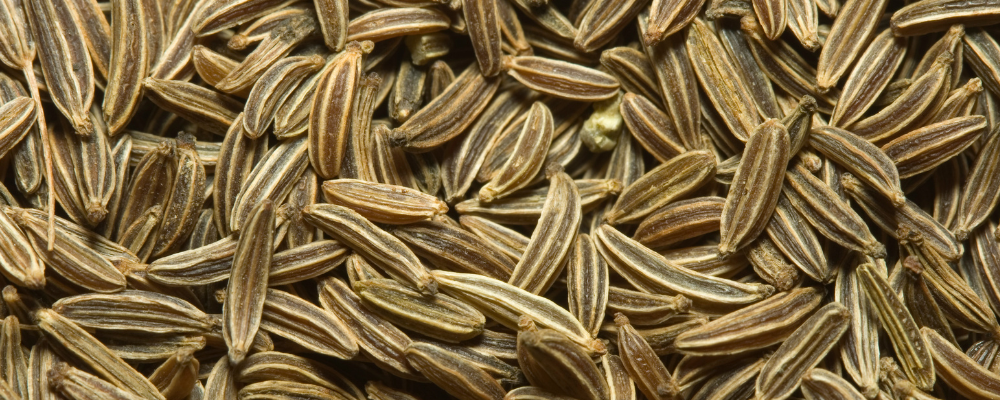 Cumin
