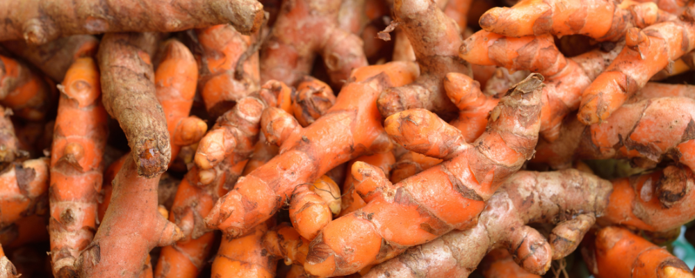 Curcuma