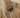 Ergot de seigle