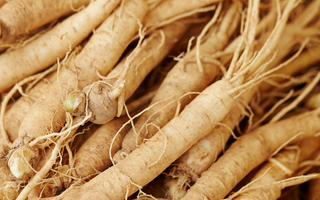 Ginseng