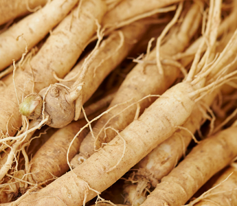 Ginseng