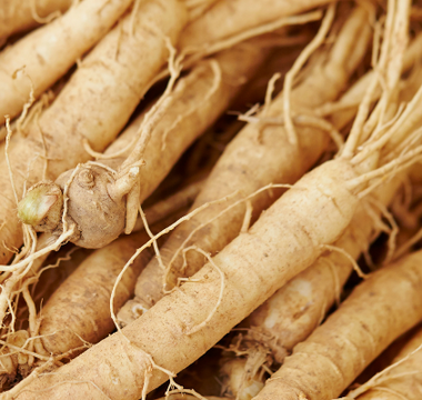 Ginseng