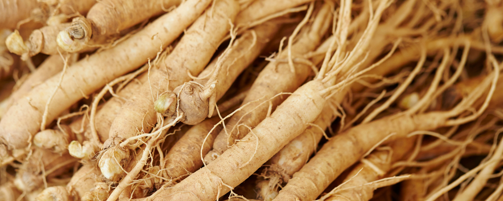 Ginseng