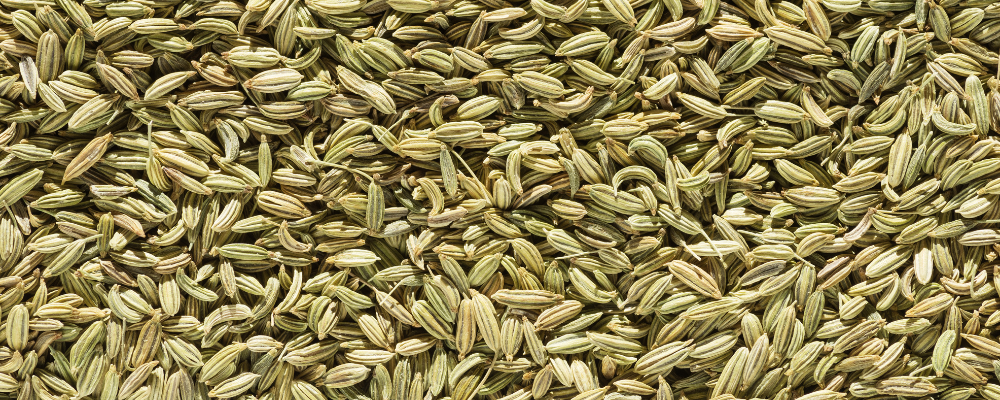 Grains de Fenouil