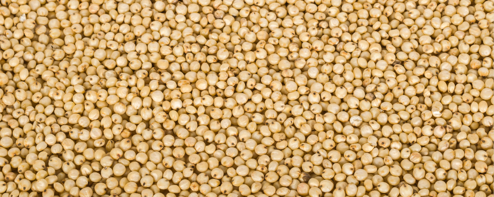 Millet