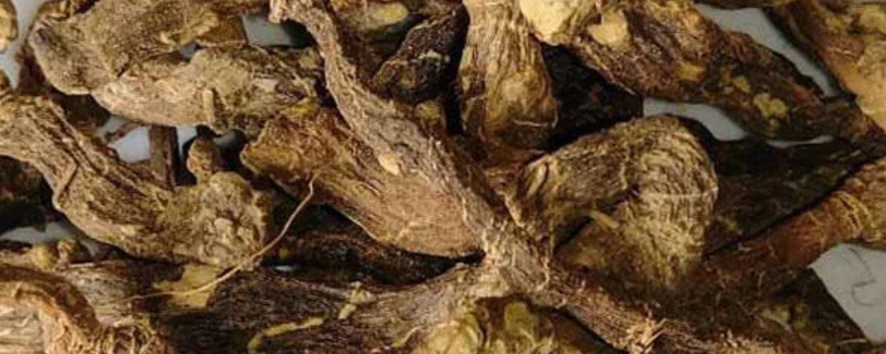 Huile Rituelle Mandragore 50 Ml, Certifiée Wicca ... Magie Santería Et