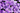 Violette