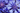 Bleuet