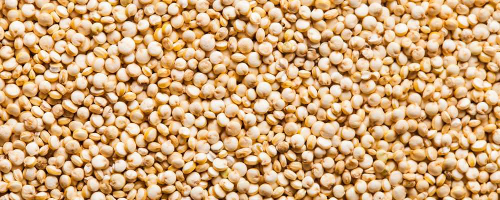 Quinoa