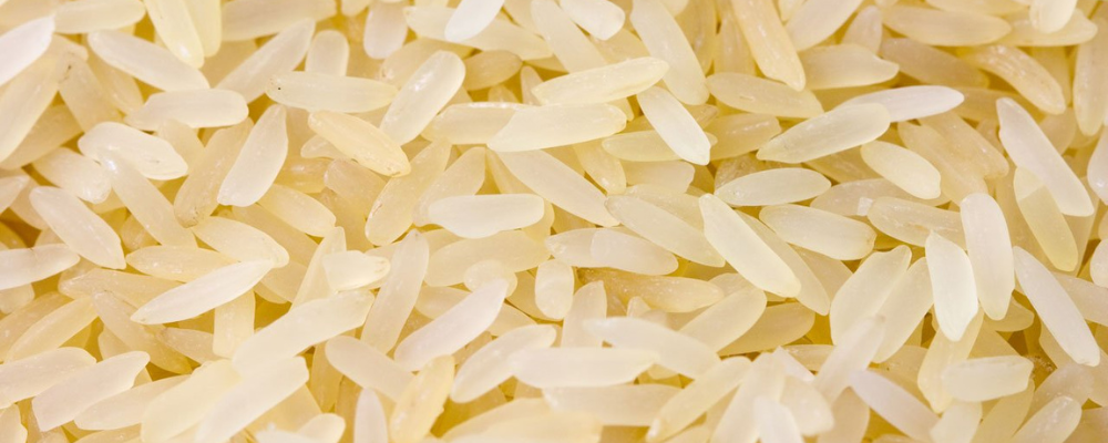 Riz