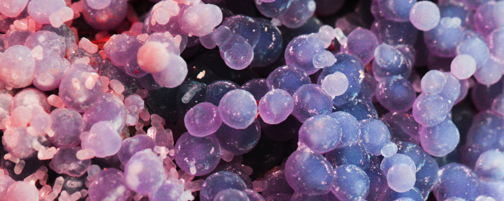 Agate Grappe