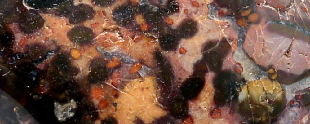 Agate Peau de Serpent