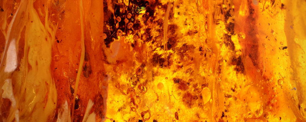 Ambre