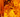 Ambre