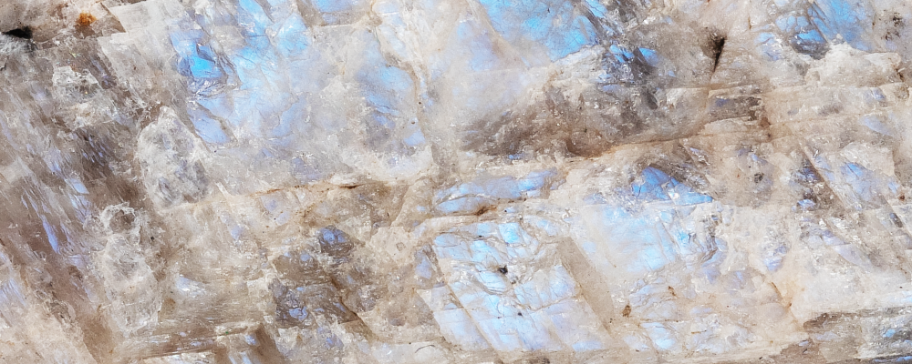 Bélomorite