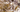 Brushite