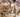 Brushite