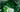 Diopside