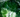 Diopside
