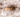 Fulgurite