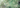 Groen Granaat