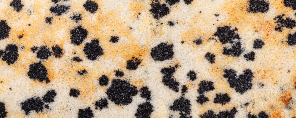 Jaspe Dalmatien