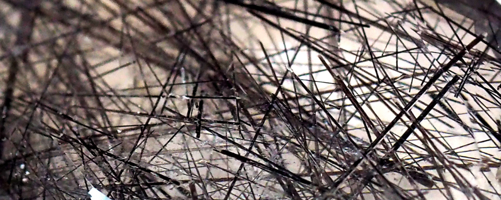 Quartz Rutile