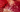 Rhodochrosite