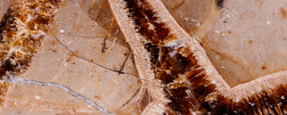 Septaria