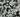 Obsidienne Flocon de Neige