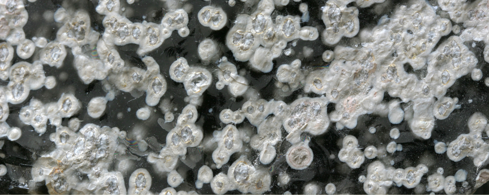 Obsidienne Flocon de Neige