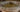 Comment conserver et manipuler l’eau bénite avec respect ?