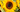 Comment créer un autel pour Litha ?
