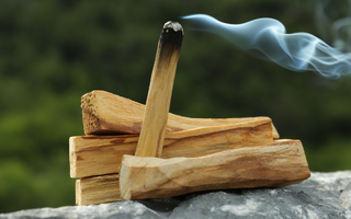 Le palo santo est-il en danger ?