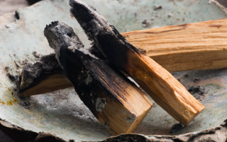 Qu’est-ce que le palo santo et d’où vient-il ?