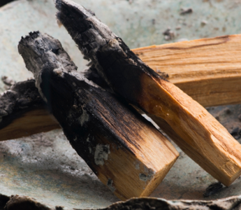 Qu’est-ce que le palo santo et d’où vient-il ?