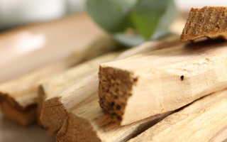 Quelles sont les propriétés énergétiques du palo santo ?
