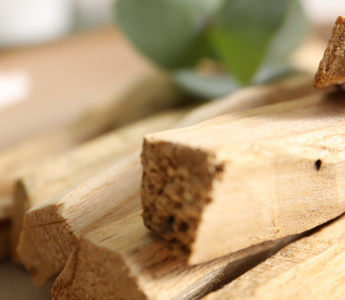 Quelles sont les propriétés énergétiques du palo santo ?