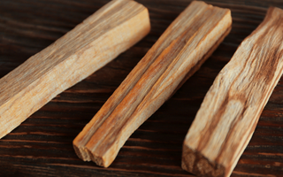 Quelle différence entre le palo santo en bâton, en copeaux ou en huile ?