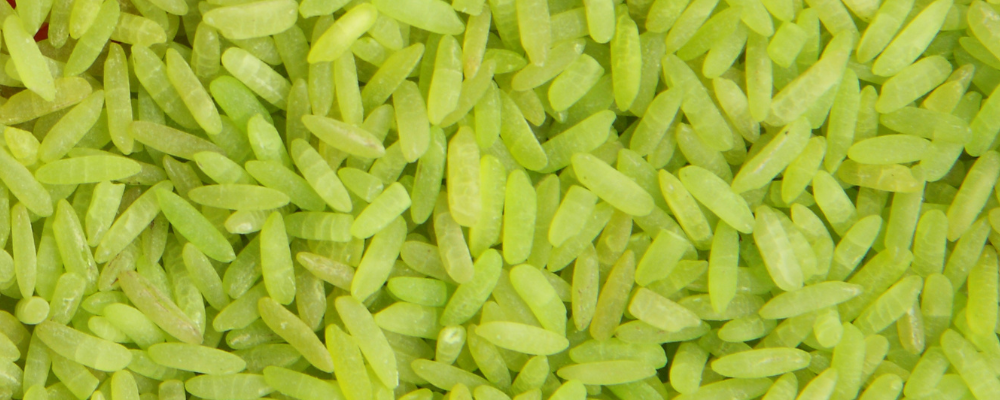 Comment agit le riz magique vert en magie hoodoo ?