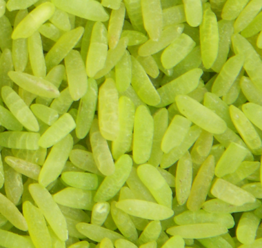 Comment agit le riz magique vert en magie hoodoo ?