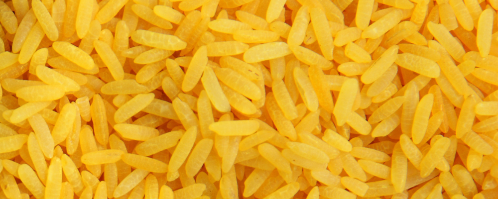 Quand travailler avec le riz magique jaune ?