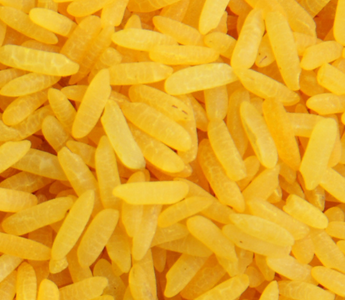 Quand travailler avec le riz magique jaune ?