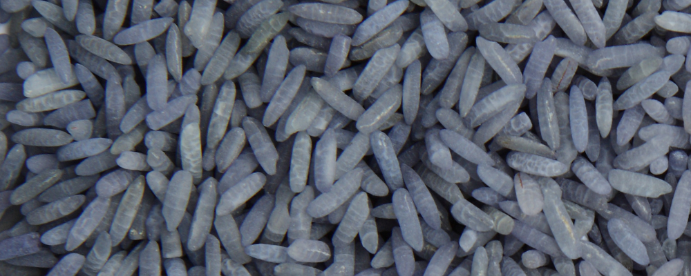 Pourquoi utiliser du riz magique bleu dans un rituel ?