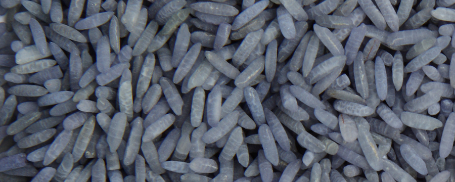 Pourquoi utiliser du riz magique bleu dans un rituel ?