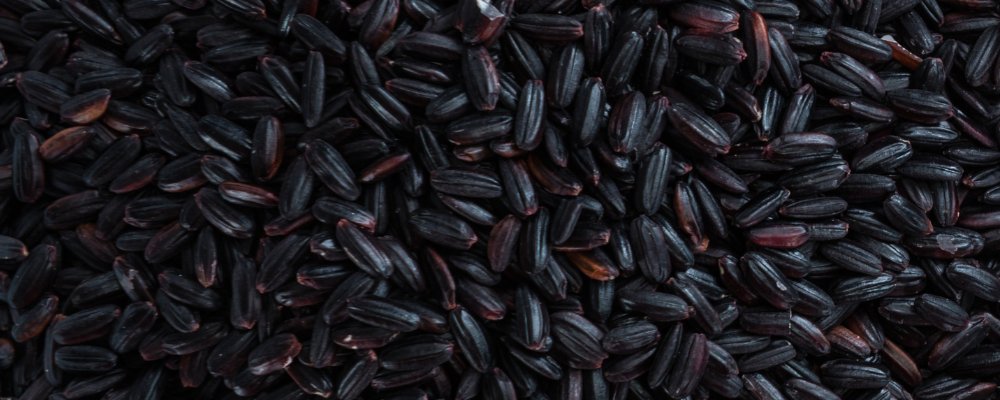 Que permet le riz magique noir dans un travail spirituel ?