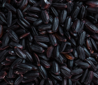 Que permet le riz magique noir dans un travail spirituel ?