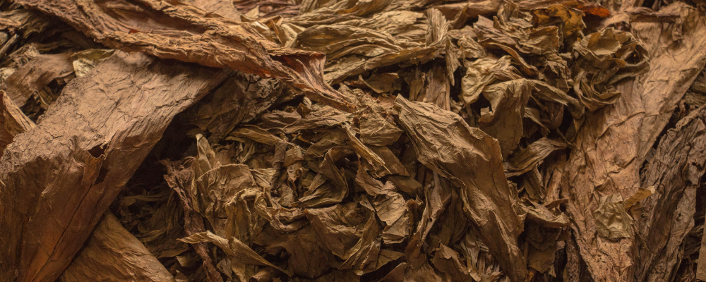 À quoi sert l’eau de tabac en magie ?